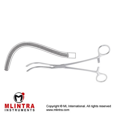 Guyon Atrauma Kidney Pedicle Clamp Curved Stainless Steel, 24 cm - 9 1/2"